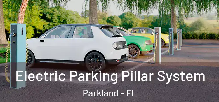  Electric Parking Pillar System Parkland - FL