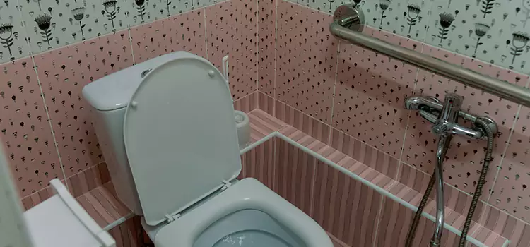 Meeting Diverse Needs With Accessible Restroom Solutions in Parkland, FL