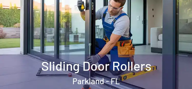 Sliding Door Rollers Parkland - FL